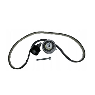 21SKV004 Purpose for replace/repair Engine Timing Chain Belt Kit For VW Audi 04E198119A