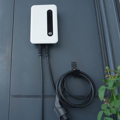 32A EV Wall-Mounted Charger with Tesla Interface Standard Oem Odm Sae J1772 IP 66 Rated